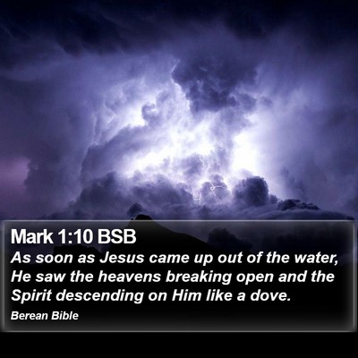 Mark 1:10 BSB Bible Verse Image
