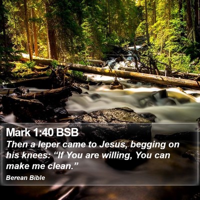 Mark 1:40 BSB Bible Verse Image