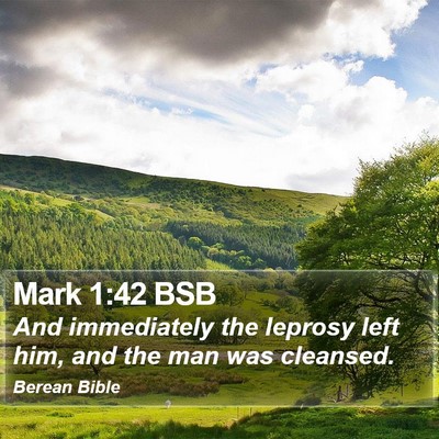 Mark 1:42 BSB Bible Verse Image