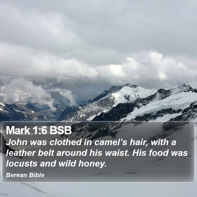 Mark 1:6 BSB Bible Verse Image