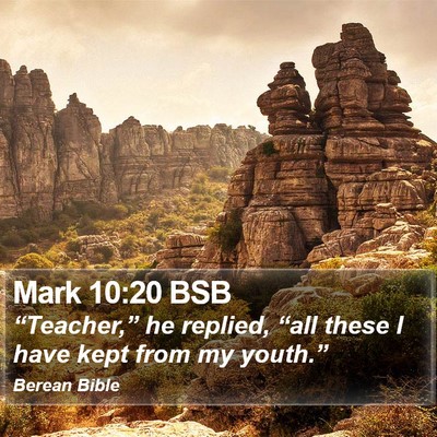 Mark 10:20 BSB Bible Verse Image
