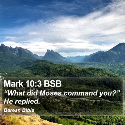 Mark 10:3 BSB Bible Verse Image