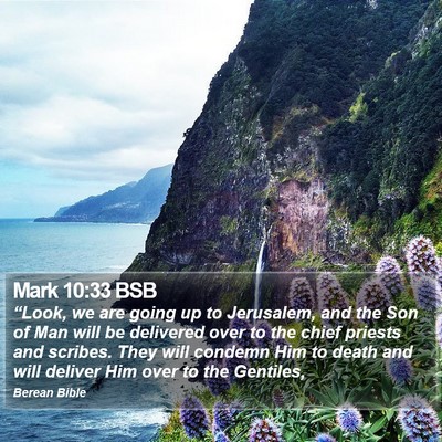 Mark 10:33 BSB Bible Verse Image