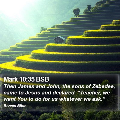 Mark 10:35 BSB Bible Verse Image