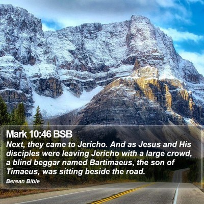 Mark 10:46 BSB Bible Verse Image