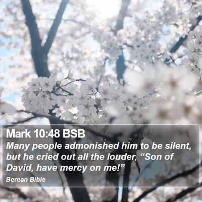 Mark 10:48 BSB Bible Verse Image