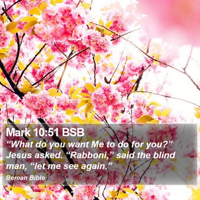 Mark 10:51 BSB Bible Verse Image
