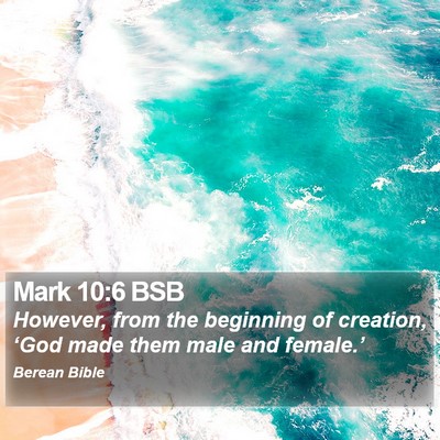 Mark 10:6 BSB Bible Verse Image