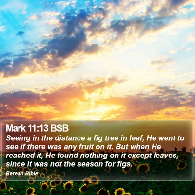 Mark 11:13 BSB Bible Verse Image