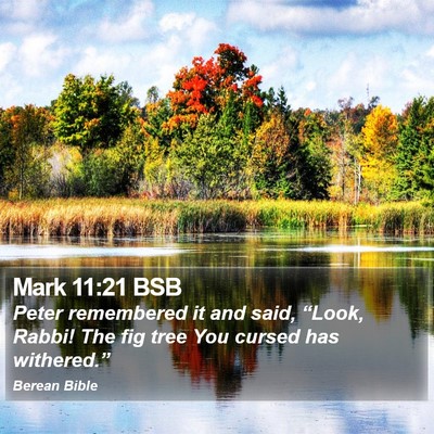 Mark 11:21 BSB Bible Verse Image