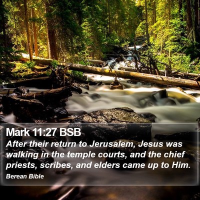 Mark 11:27 BSB Bible Verse Image