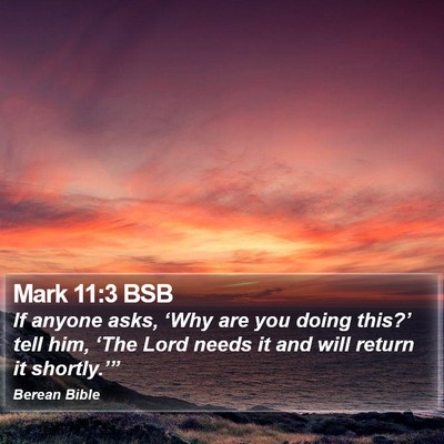 Mark 11:3 BSB Bible Verse Image