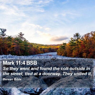 Mark 11:4 BSB Bible Verse Image