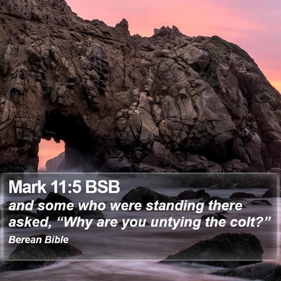 Mark 11:5 BSB Bible Verse Image