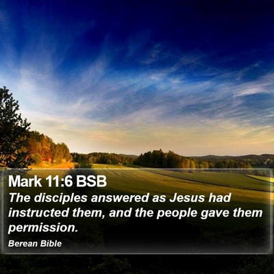 Mark 11:6 BSB Bible Verse Image