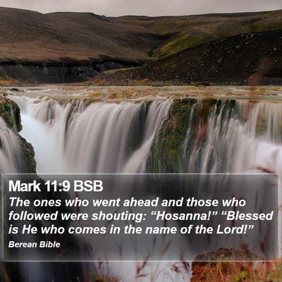 Mark 11:9 BSB Bible Verse Image