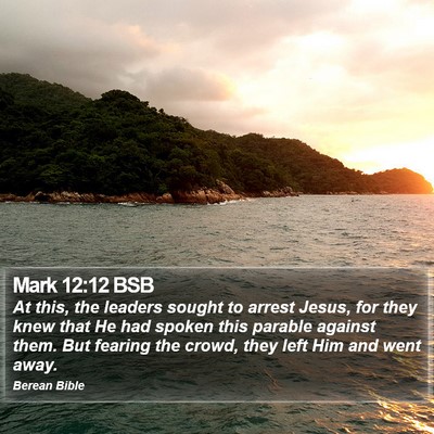 Mark 12:12 BSB Bible Verse Image