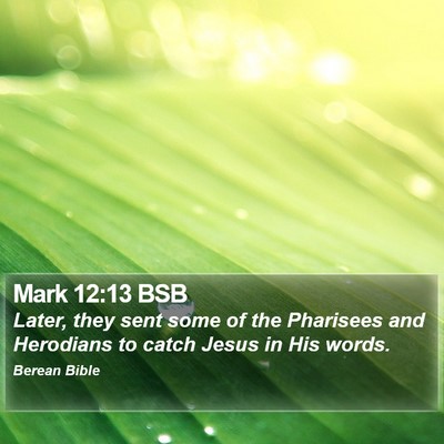 Mark 12:13 BSB Bible Verse Image