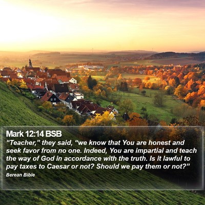 Mark 12:14 BSB Bible Verse Image