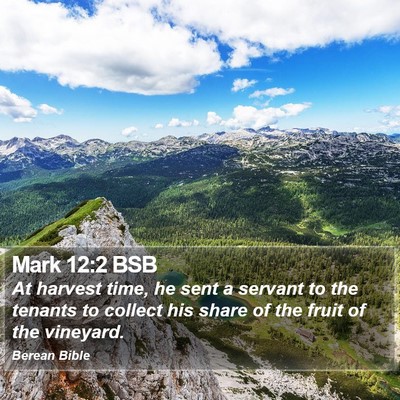 Mark 12:2 BSB Bible Verse Image