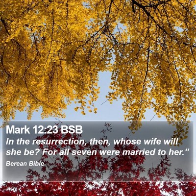 Mark 12:23 BSB Bible Verse Image