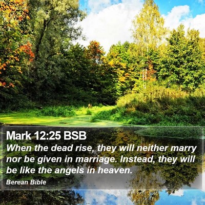 Mark 12:25 BSB Bible Verse Image