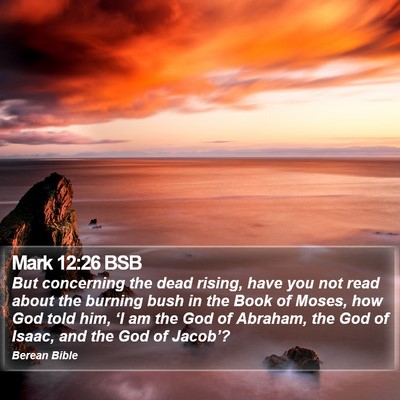 Mark 12:26 BSB Bible Verse Image