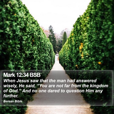 Mark 12:34 BSB Bible Verse Image