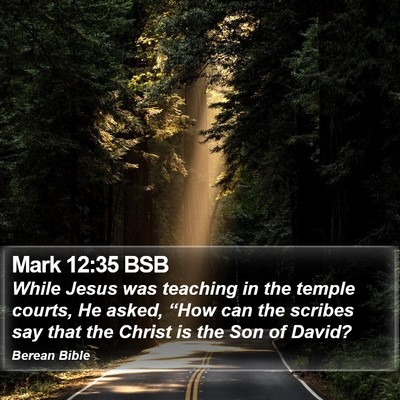 Mark 12:35 BSB Bible Verse Image