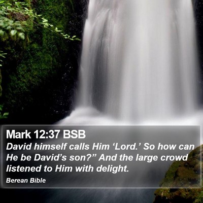 Mark 12:37 BSB Bible Verse Image