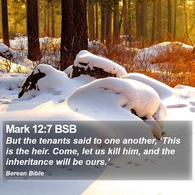 Mark 12:7 BSB Bible Verse Image
