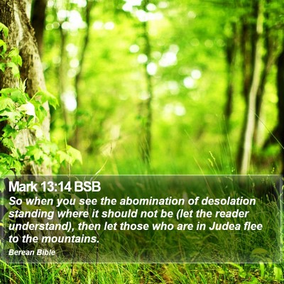 Mark 13:14 BSB Bible Verse Image