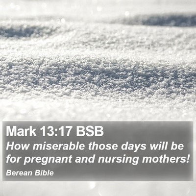 Mark 13:17 BSB Bible Verse Image