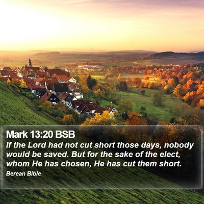 Mark 13:20 BSB Bible Verse Image