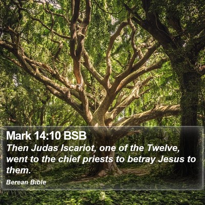 Mark 14:10 BSB Bible Verse Image