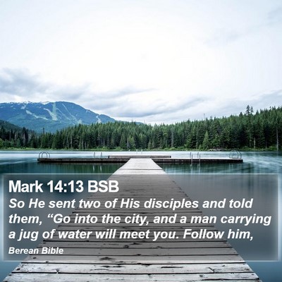 Mark 14:13 BSB Bible Verse Image