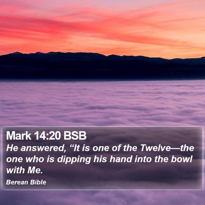 Mark 14:20 BSB Bible Verse Image
