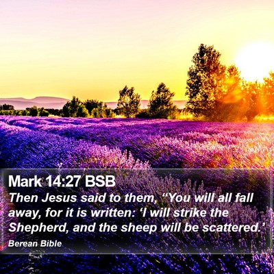Mark 14:27 BSB Bible Verse Image
