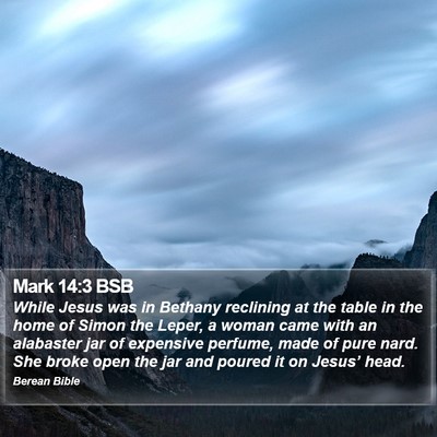 Mark 14:3 BSB Bible Verse Image