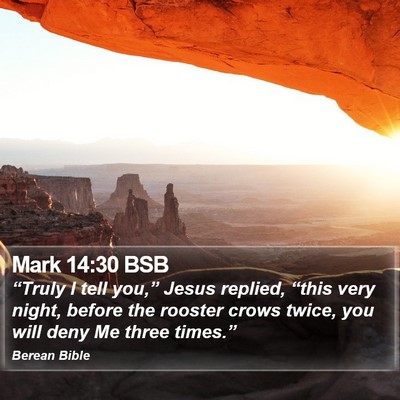 Mark 14:30 BSB Bible Verse Image