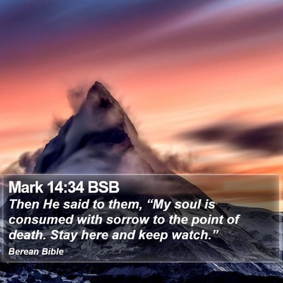 Mark 14:34 BSB Bible Verse Image