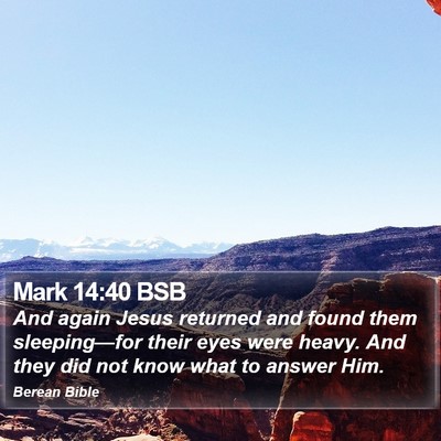 Mark 14:40 BSB Bible Verse Image