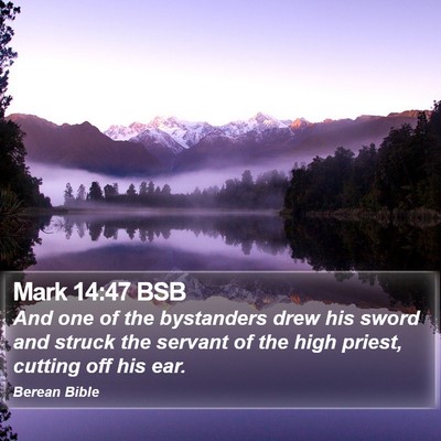 Mark 14:47 BSB Bible Verse Image