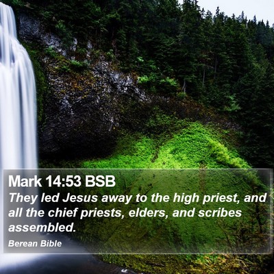 Mark 14:53 BSB Bible Verse Image