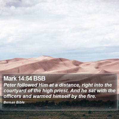 Mark 14:54 BSB Bible Verse Image