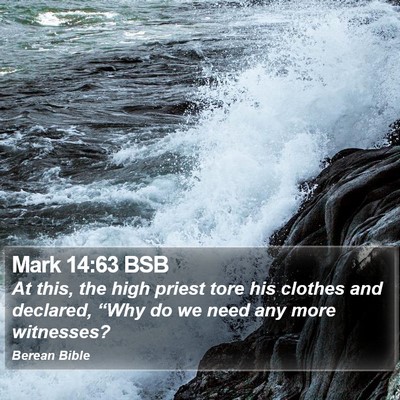 Mark 14:63 BSB Bible Verse Image