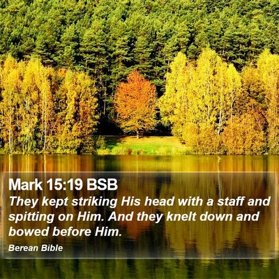 Mark 15:19 BSB Bible Verse Image