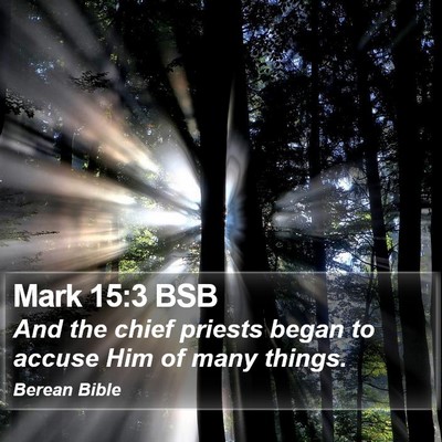 Mark 15:3 BSB Bible Verse Image