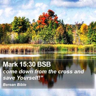 Mark 15:30 BSB Bible Verse Image