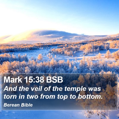 Mark 15:38 BSB Bible Verse Image